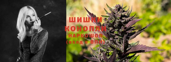 дживик Михайловск