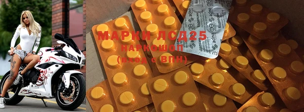 ПСИЛОЦИБИНОВЫЕ ГРИБЫ Алзамай