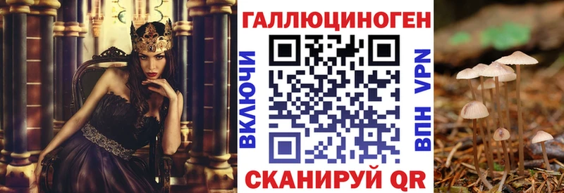 Псилоцибиновые грибы мицелий  Плавск 